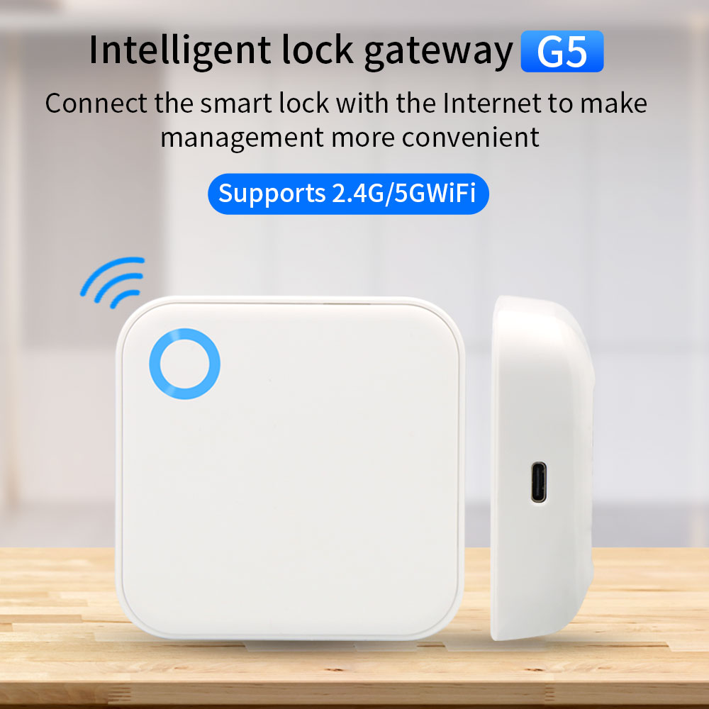 Smart Lock For Sliding Door - 2.4G + 5G TTLOCK WIFI Ağ