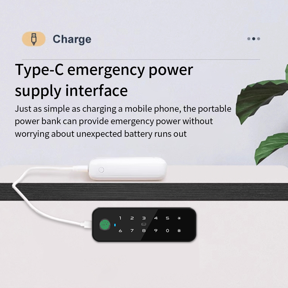 Tuya Bluetooth Akıllı Ahşap Do - Smart Door Lock Tuya App incelemesi ve fiyatı