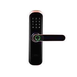 WiFi Parmak İzi Kilidi Dokunma - Digital Door Lock Fingerprint Handle incelemesi ve fiyatı