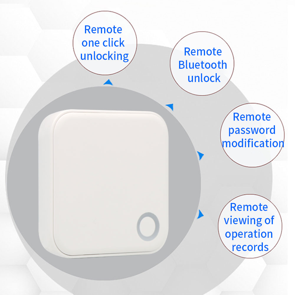 2.4G + 5G TTLOCK WIFI Ağ Geçid - Smart Lock For Sliding Door incelemesi ve fiyatı