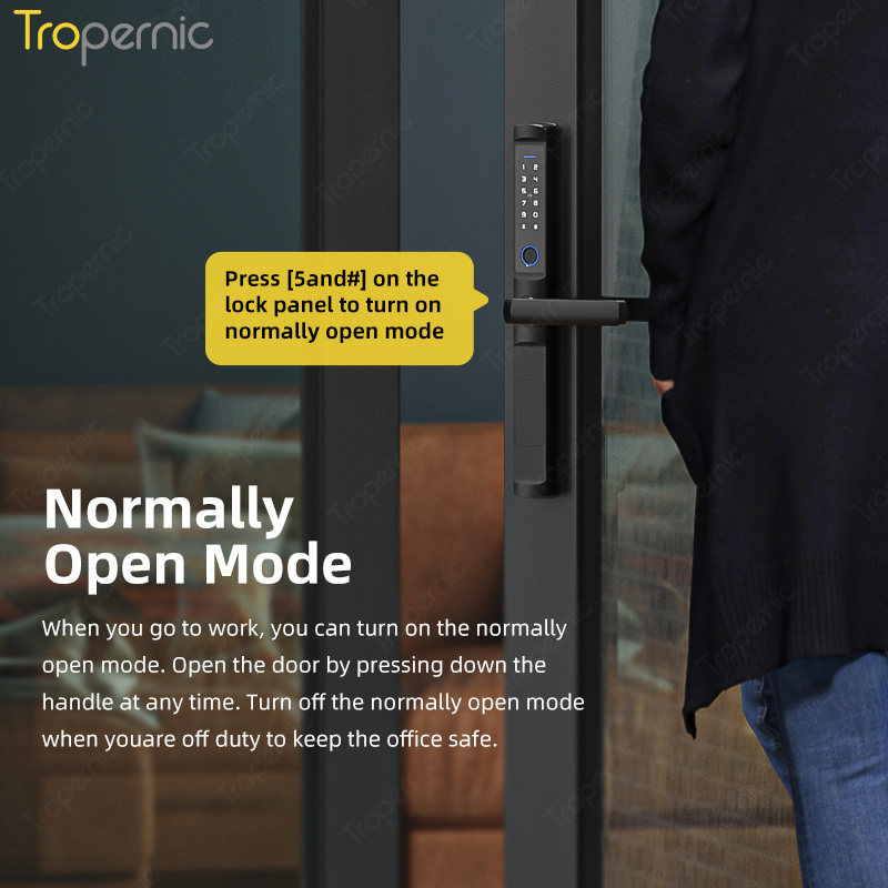 Su geçirmez Tuya zigbee Biyome - Smart Lock Zigbee Gateway incelemesi ve fiyatı