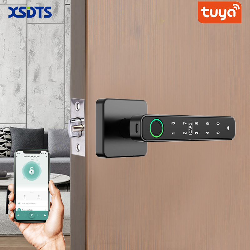 XSDTS Tuya Parmak İzi Okuyucul - Digital Door Lock Fingerprint Handle incelemesi ve fiyatı