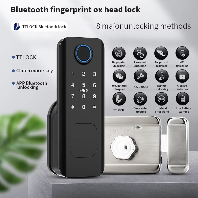 Başlangıç Seviyesi Tuya Ttlock - Smart Rim Lock Wifi Fingerprint incelemesi ve fiyatı