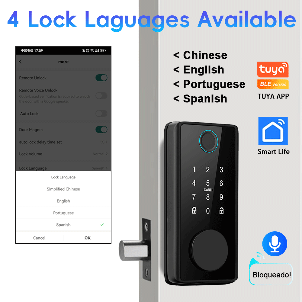 RAYKUBE DS01 4 dil Tuya Akıllı - Smart Lock Deadbolt Keypad Bluetooth incelemesi ve fiyatı